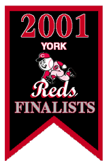 2001 League Finalists